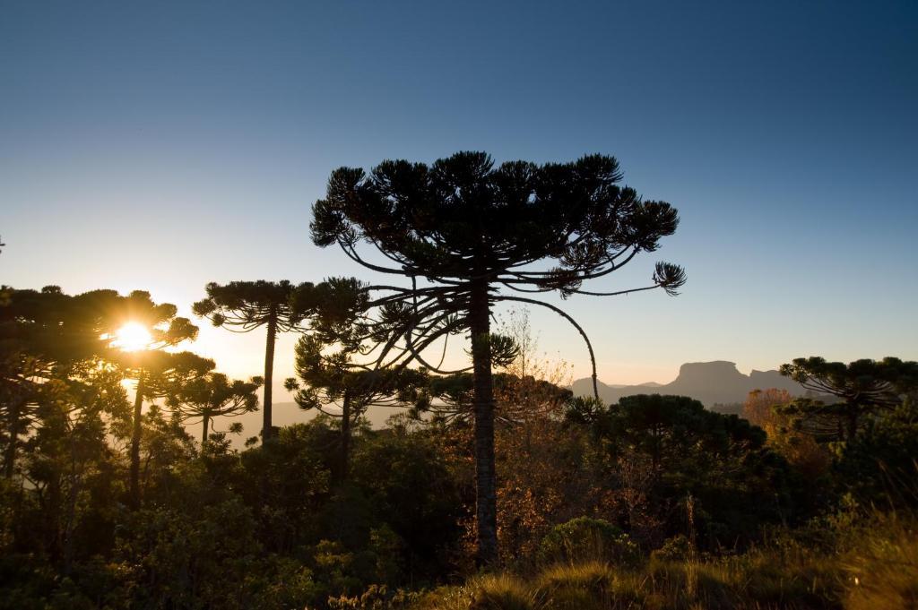 Hotel Frontenac Campos do Jordão Εξωτερικό φωτογραφία